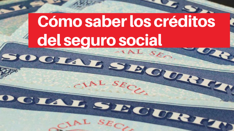 Cómo saber los créditos del seguro social